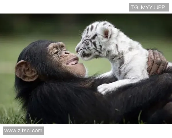 足球明星与萌娃的温馨时刻：一场跨越年龄的友谊与梦想之旅